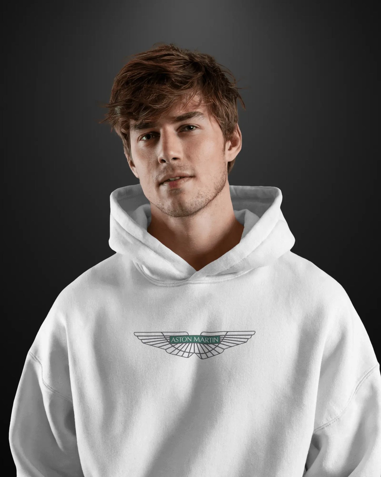 Formula 1 Aston Martin Hoodie APXKrew