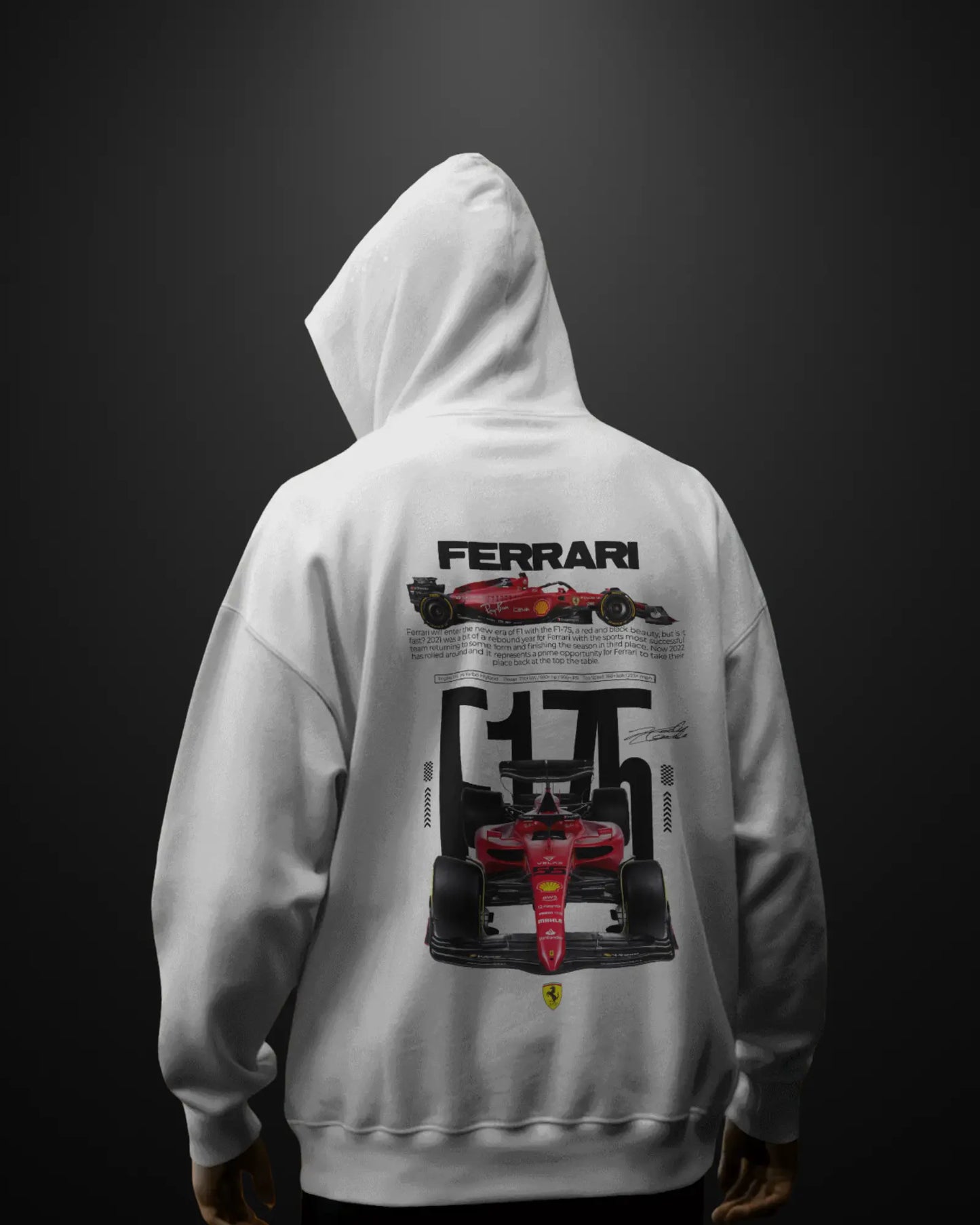 Formula 1 Ferrari F175 Hoodie - APXKrew