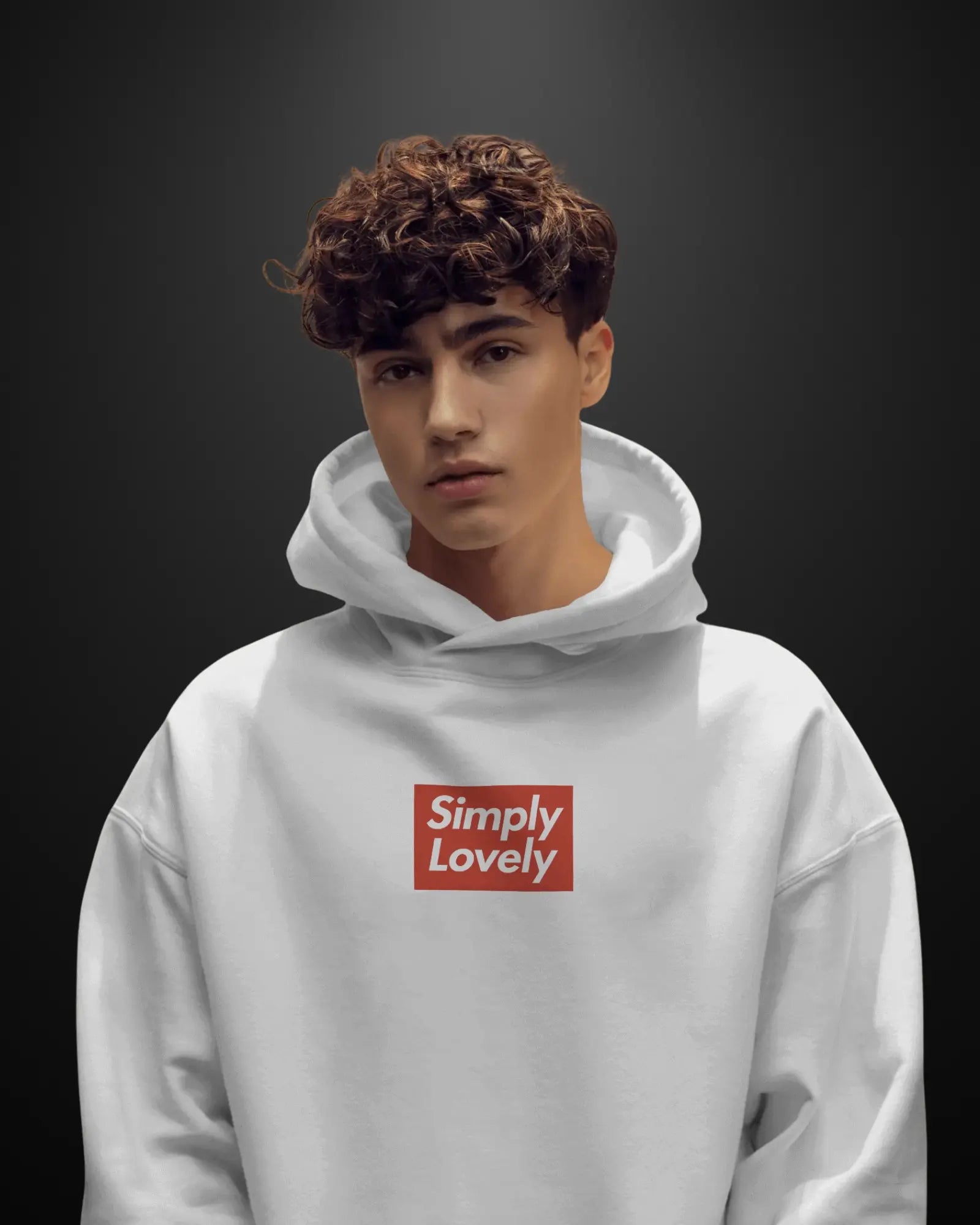 Formula 1 Max Verstappen Hoodie Drop 1 - APXKrew