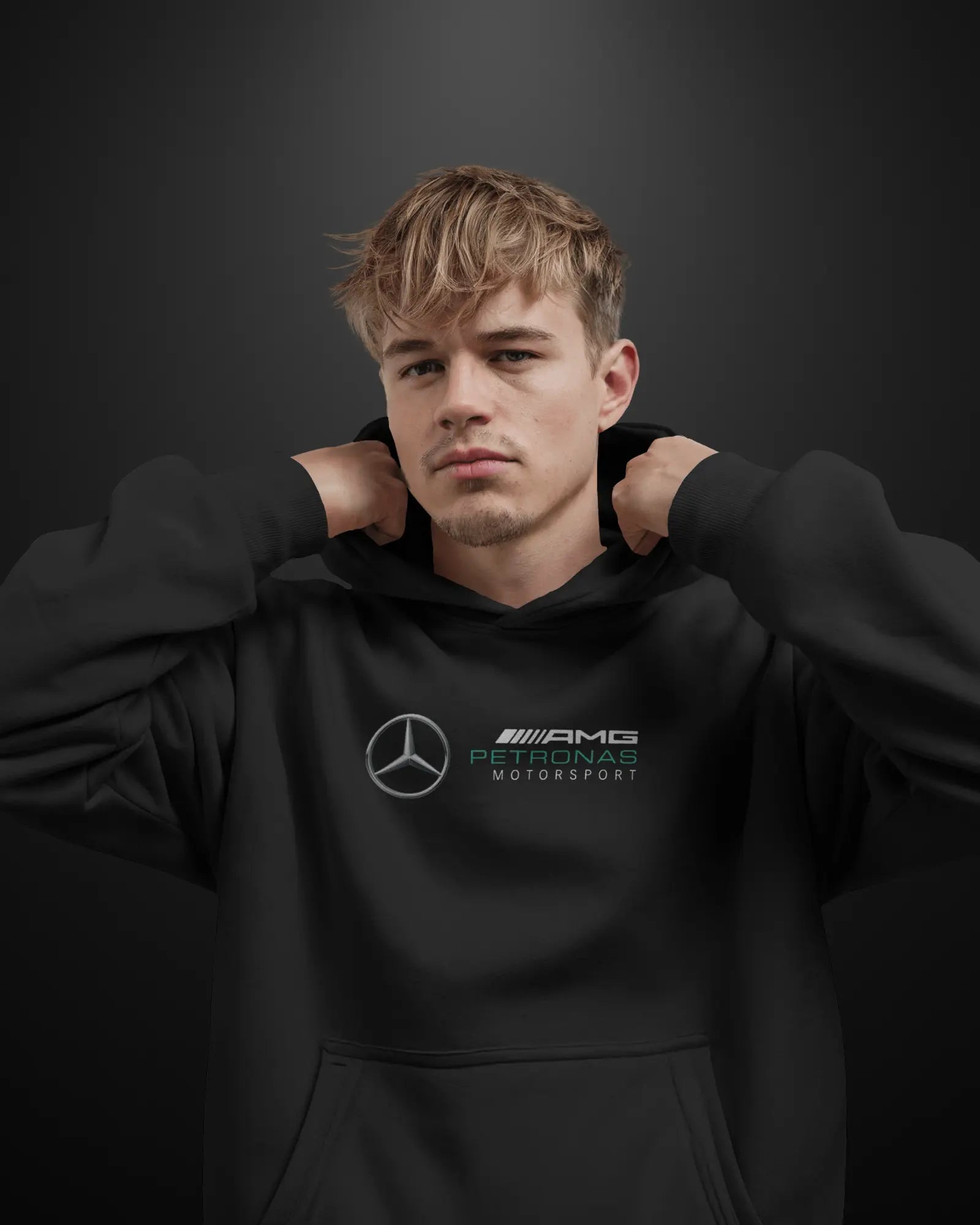 Formula 1 Mercedes AMG W11 Hoodie - APXKrew