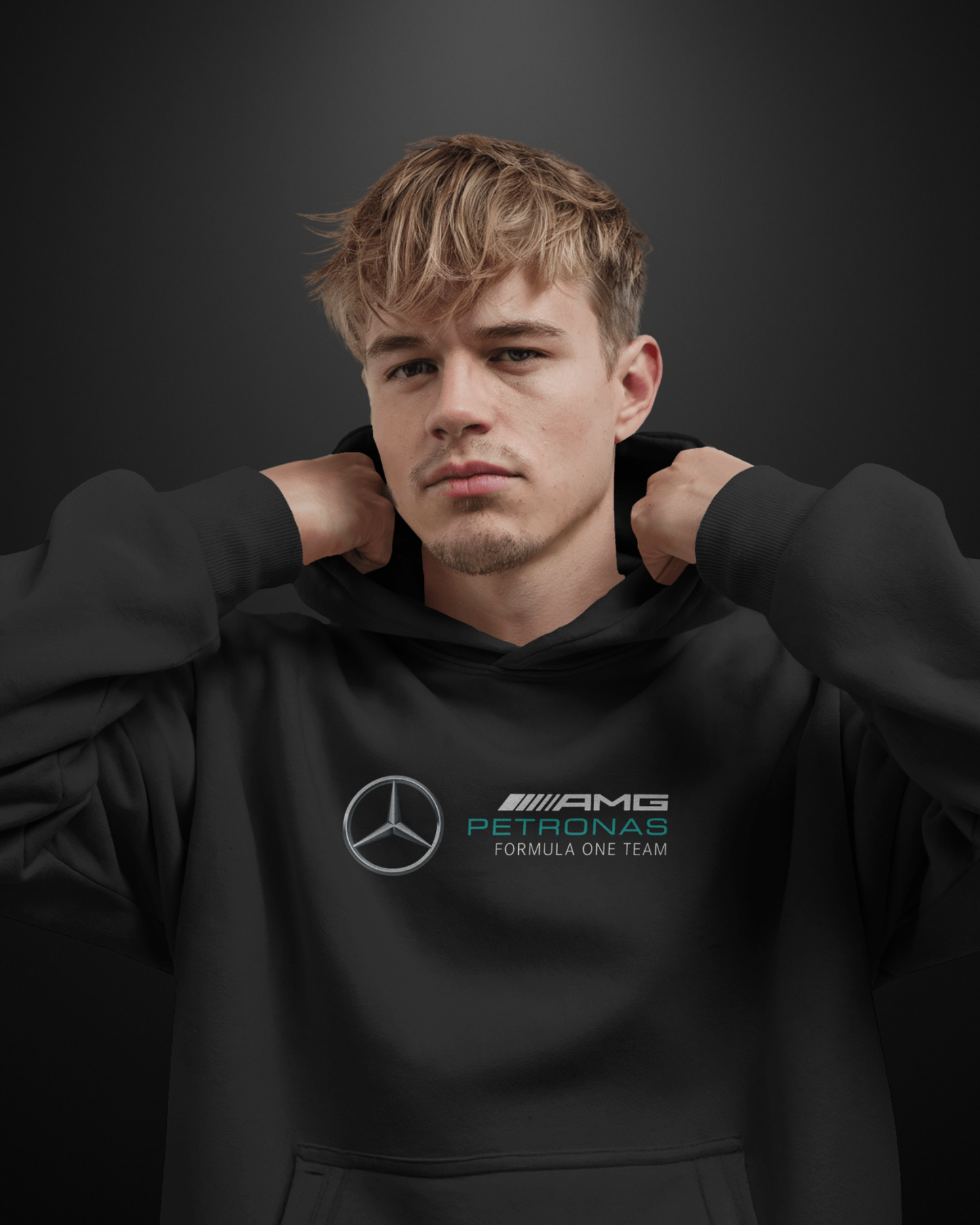 Formula 1 Mercedes AMG W16 Hoodie - APXKrew