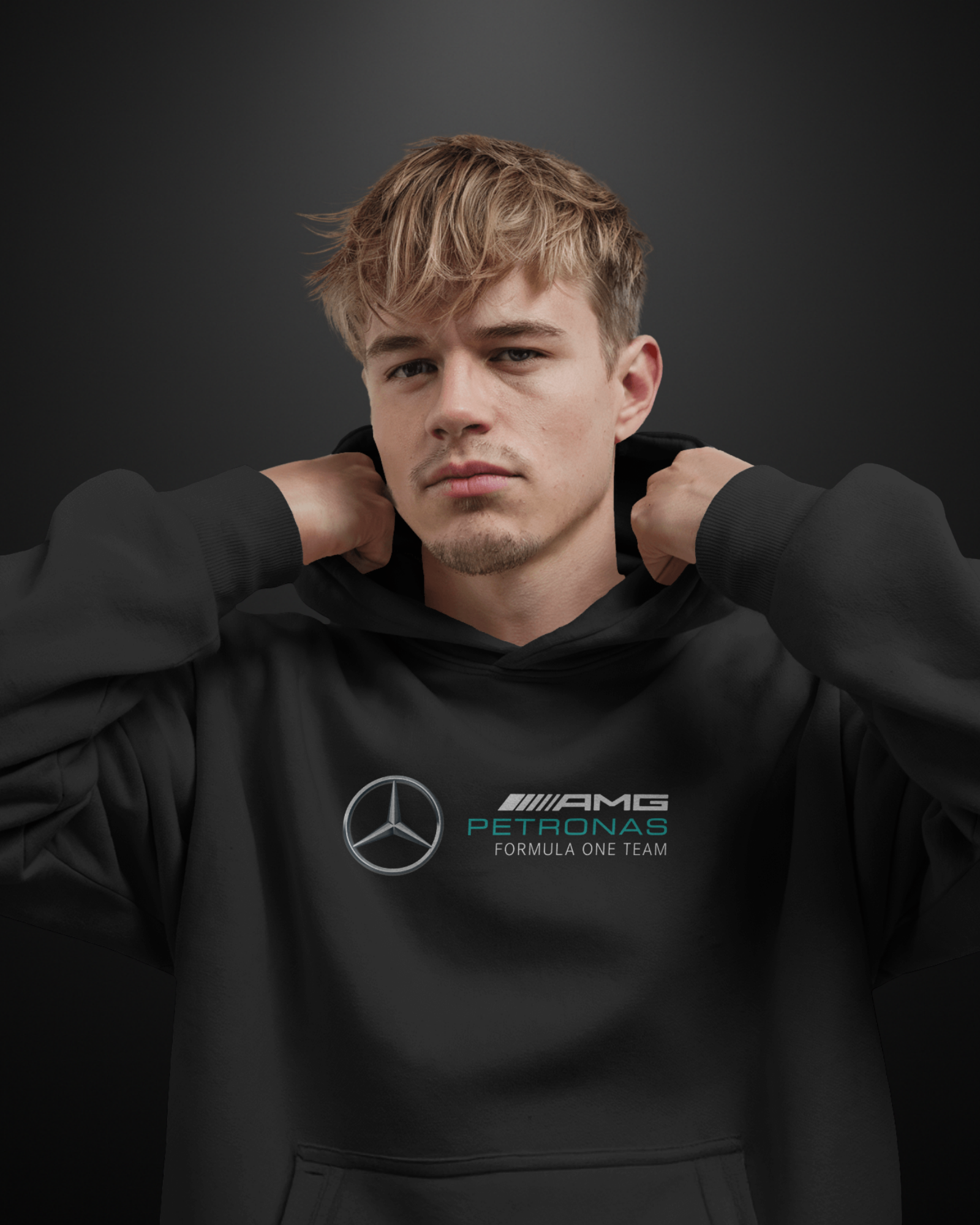 Formula 1 Mercedes AMG W16 Hoodie - APXKrew