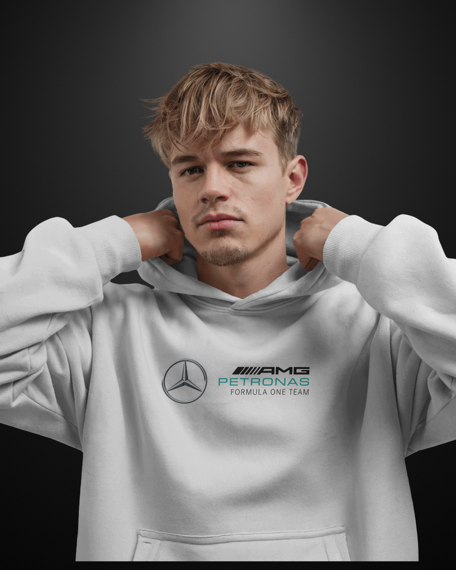 Formula 1 Mercedes AMG W16 Hoodie - APXKrew