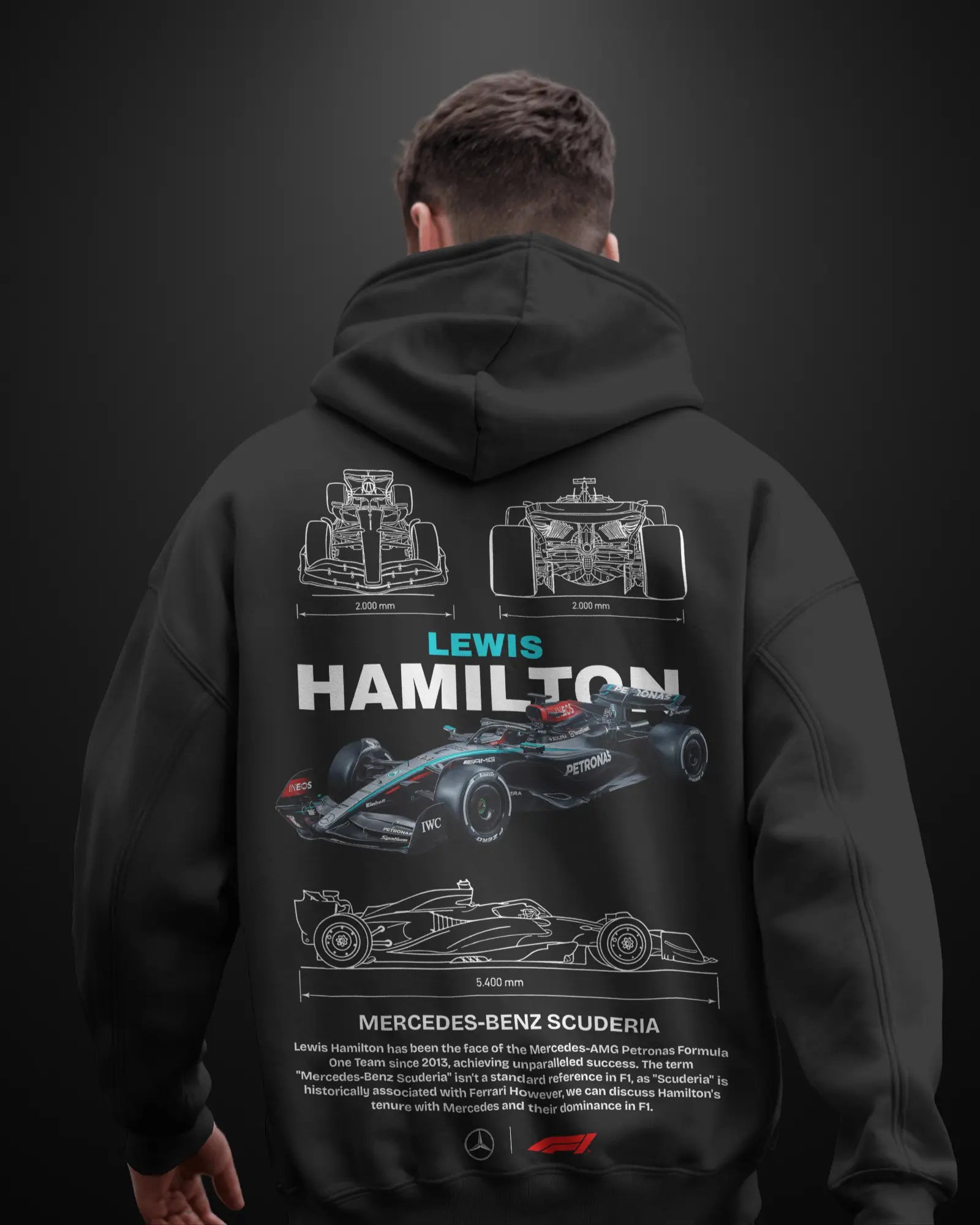 Formula 1 Mercedes Lewis Hamilton Hoodie APXKrew