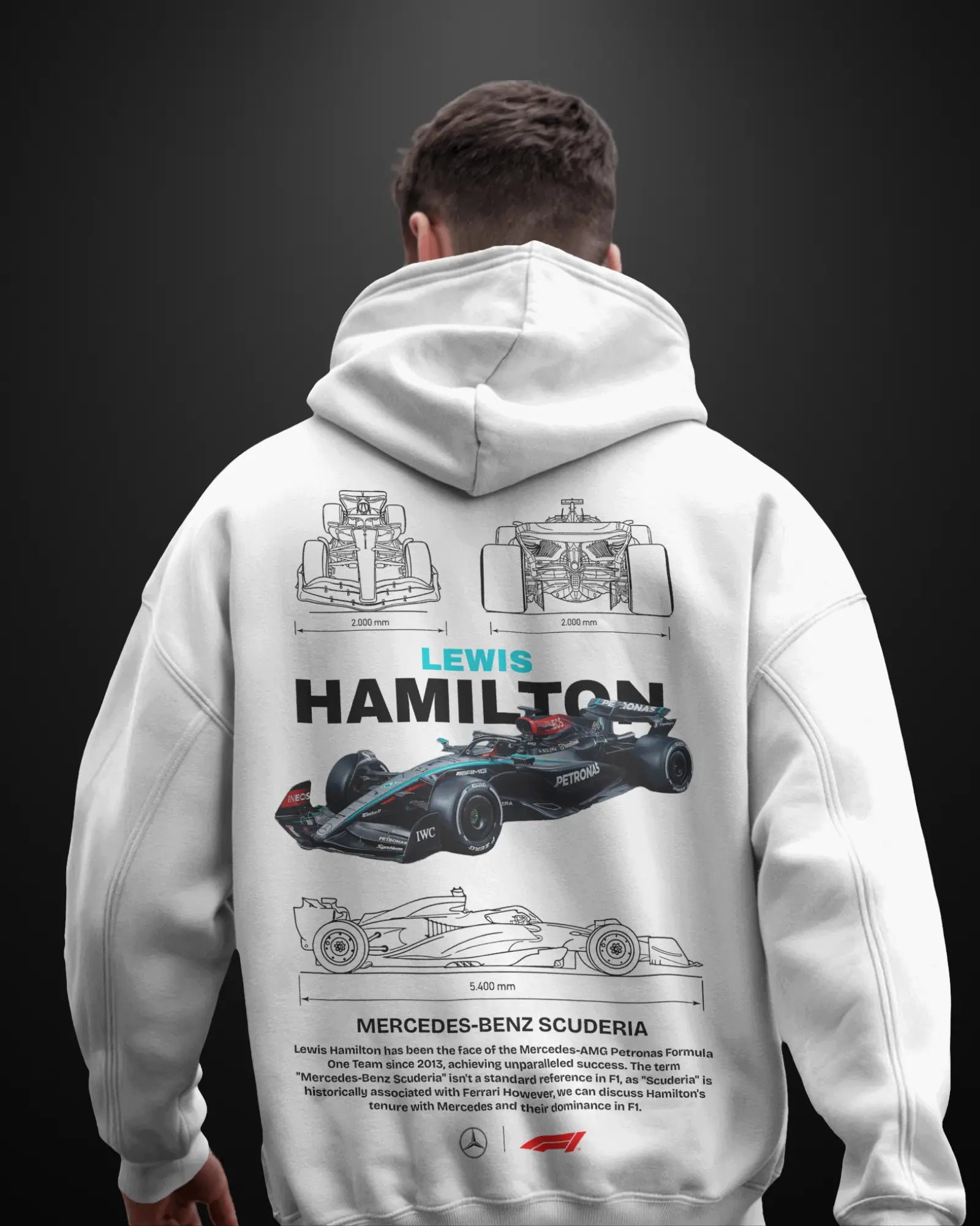 Formula 1 Mercedes Lewis Hamilton Hoodie APXKrew