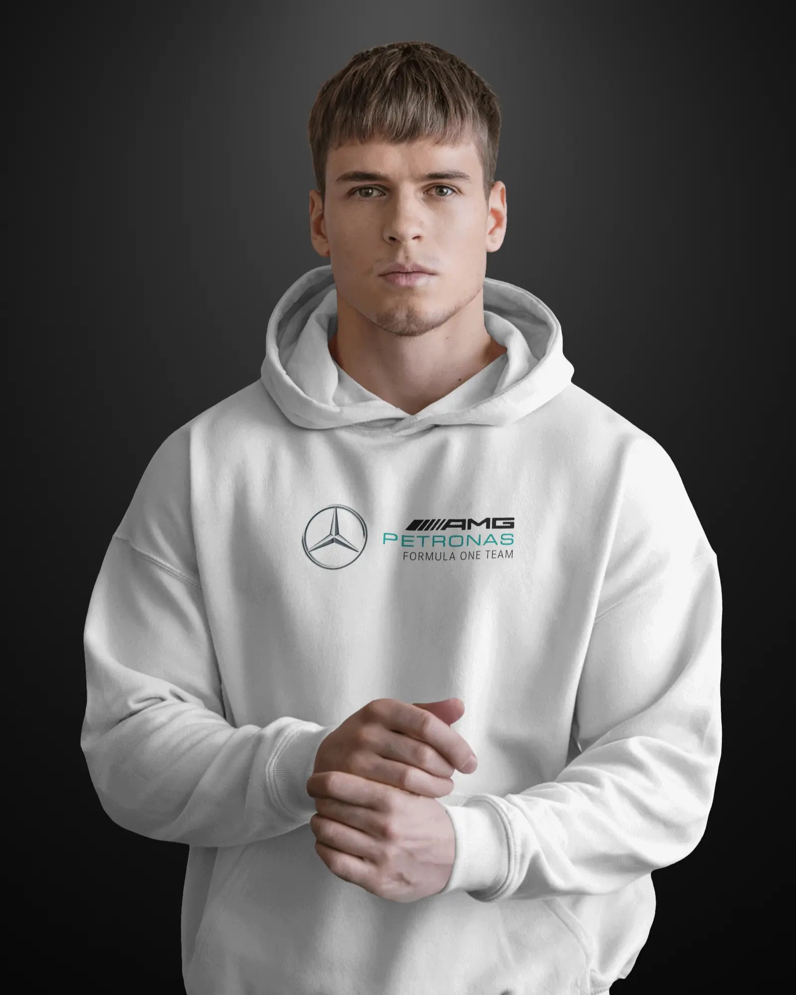 Formula 1 Mercedes Lewis Hamilton Hoodie APXKrew