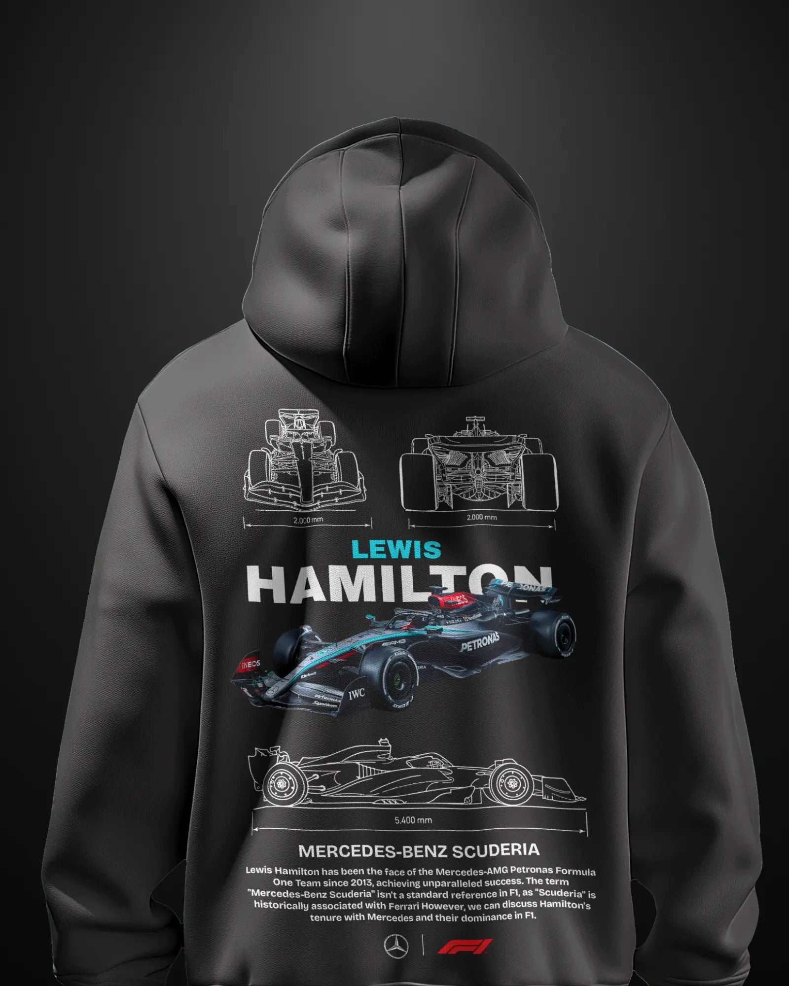 Formula 1 Mercedes Lewis Hamilton Hoodie - APXKrew