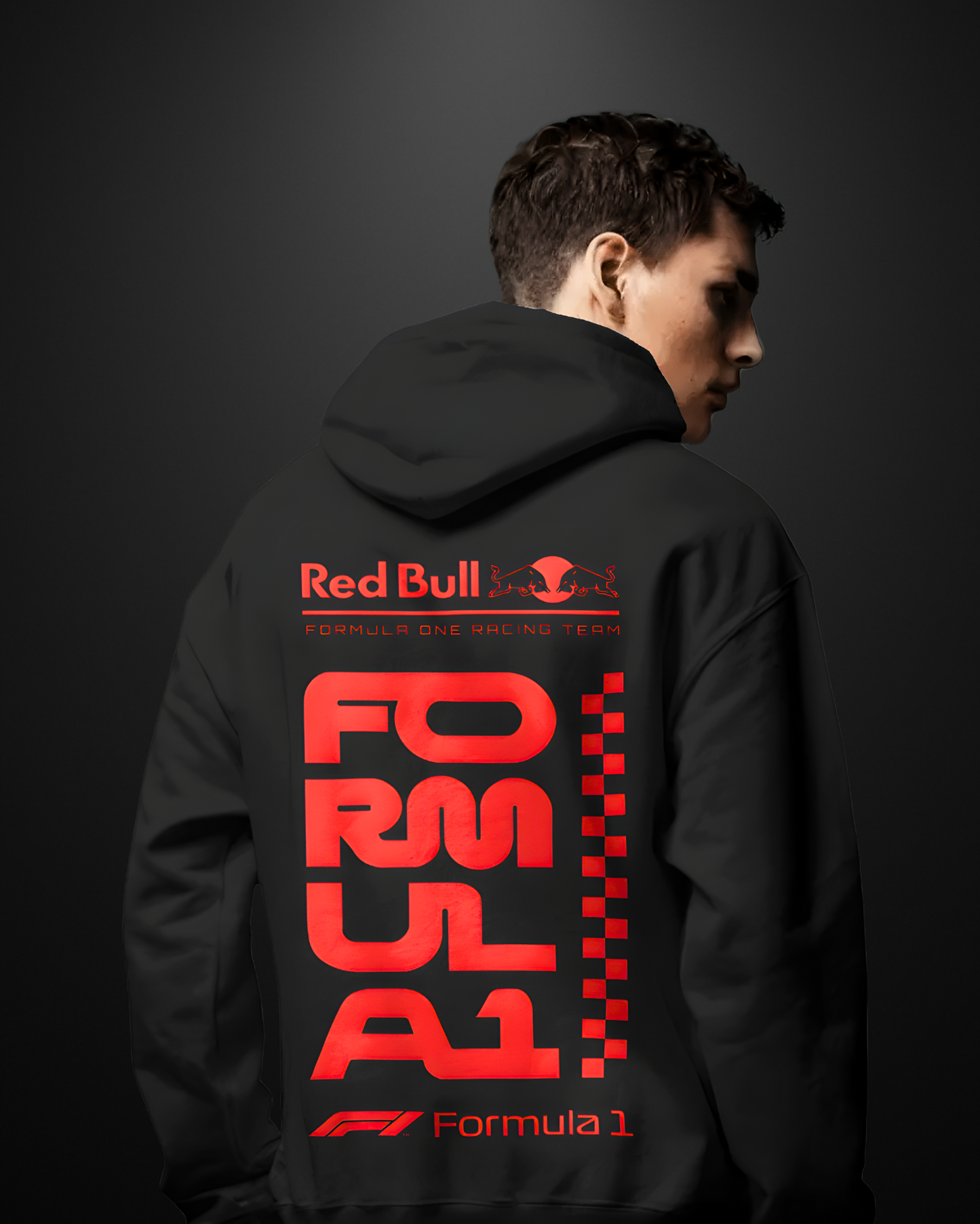 Formula 1 Redbull Racing Hoodie - APXKrew